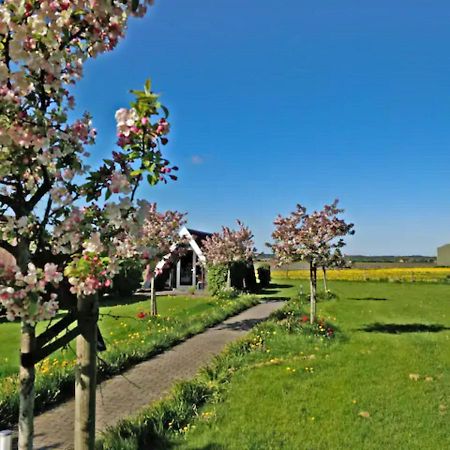 Hotelhuisje Warmenhuizen #D Екстериор снимка