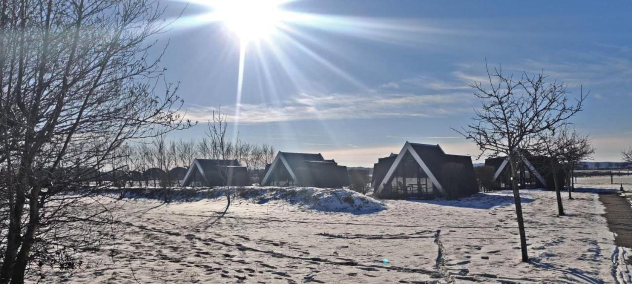 Hotelhuisje Warmenhuizen #D Екстериор снимка